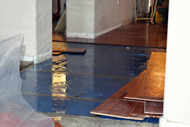 Professional Basement Flooding technician working in Fitchburg, WI